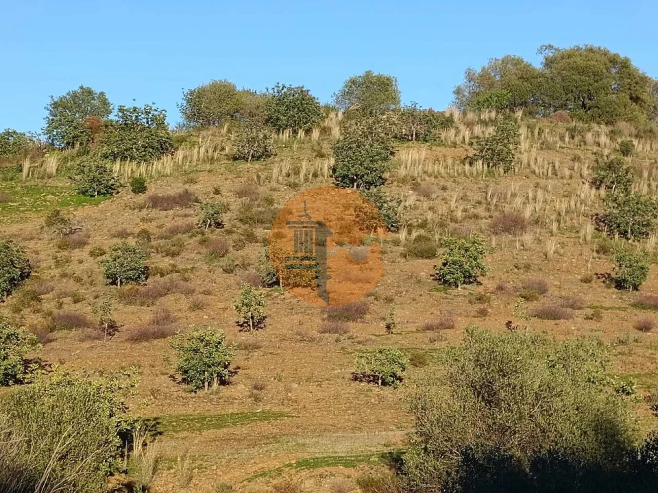 Terreno para Venda em Odeleite Foto 53