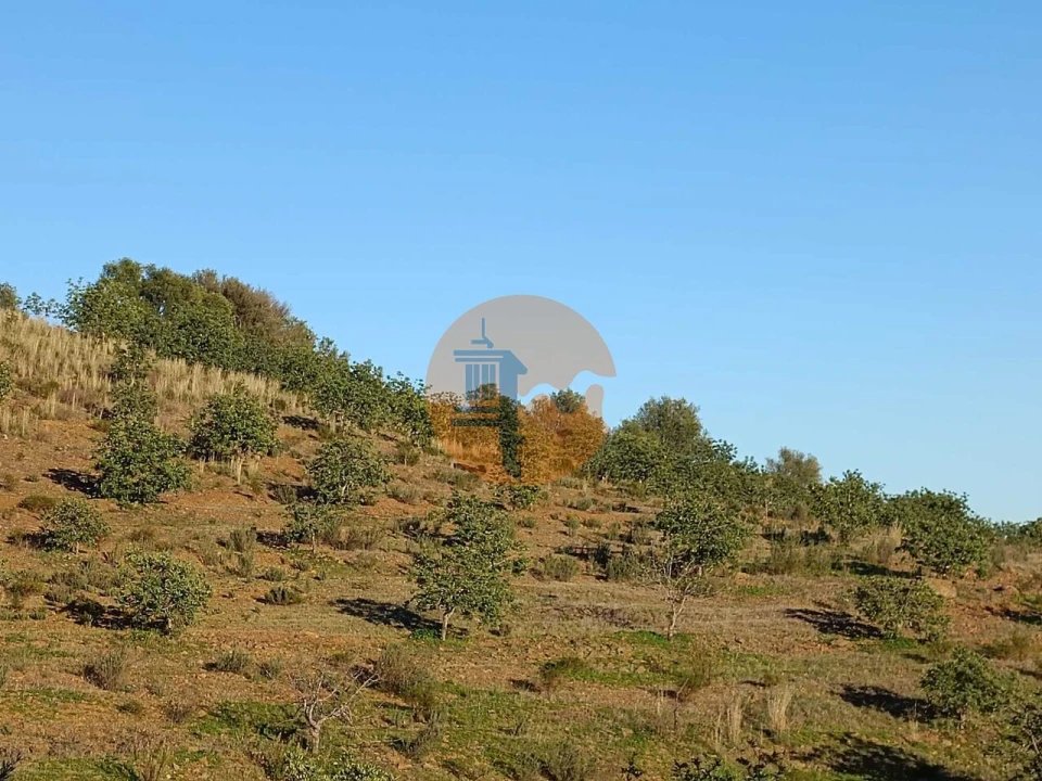 Terreno para Venda em Odeleite Foto 54