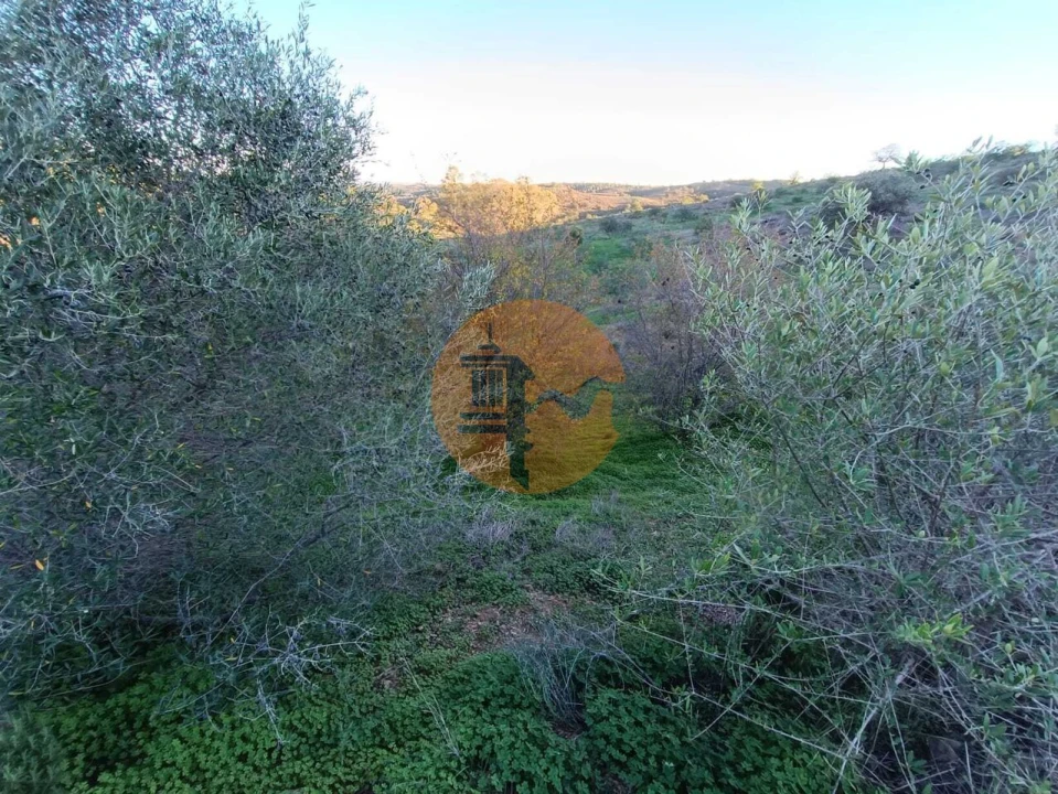 Terreno para Venda em Odeleite Foto 64