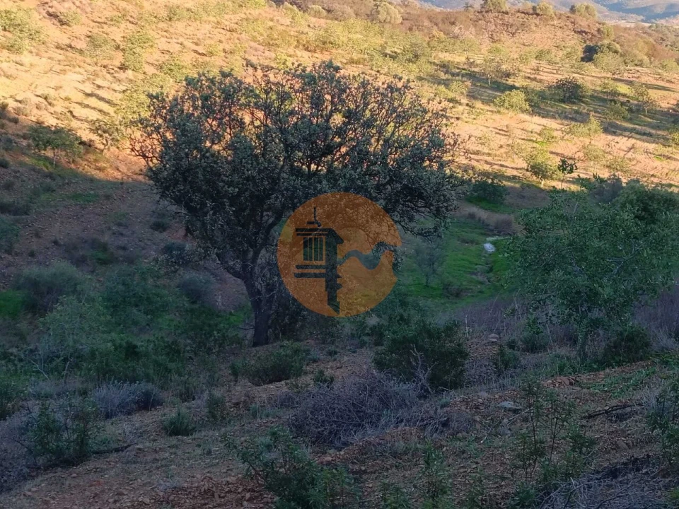 Terreno para Venda em Odeleite Foto 68