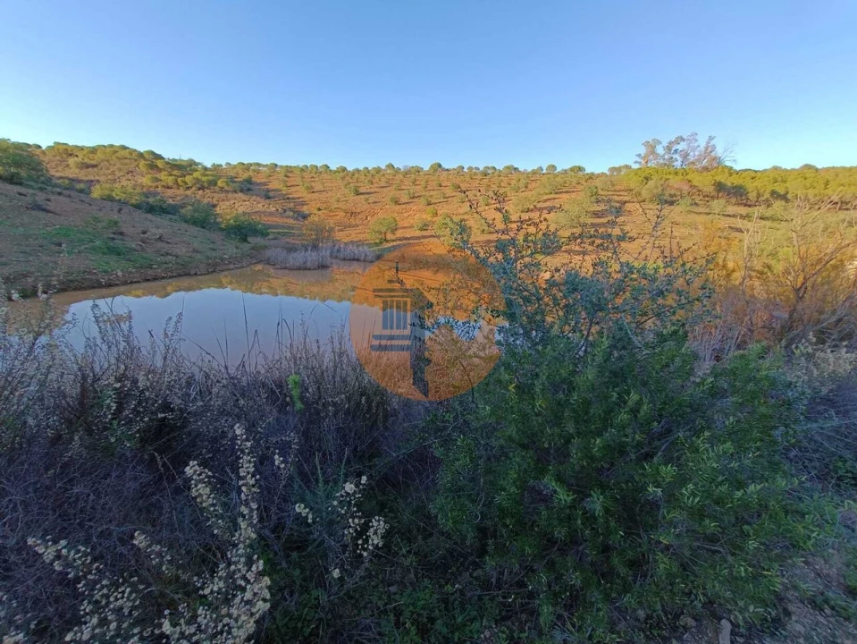 Terreno para Venda em Odeleite Foto 69