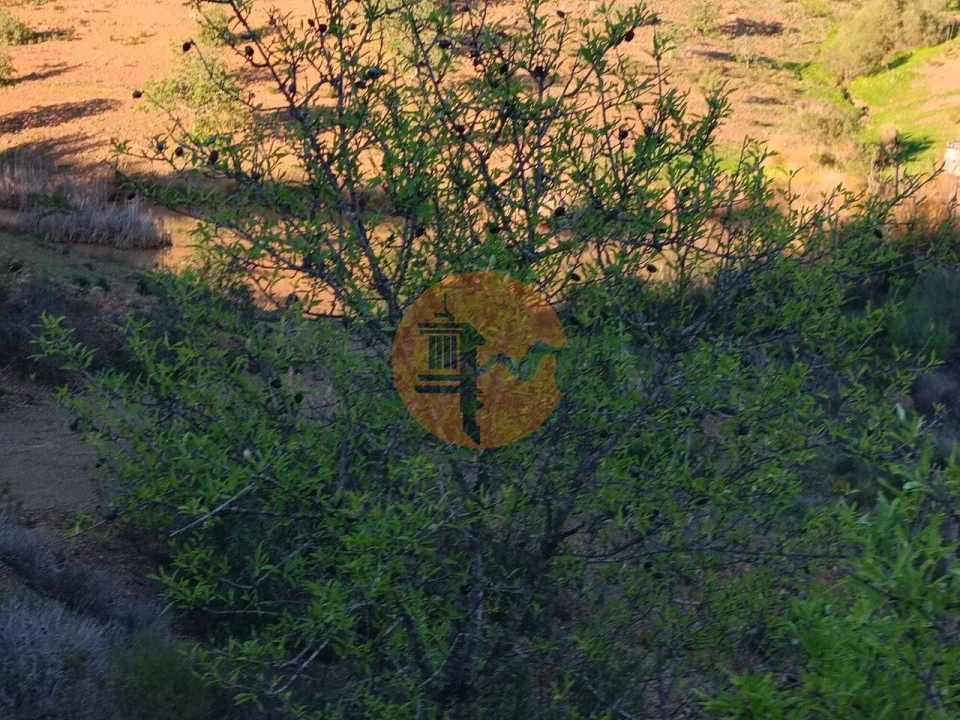 Terreno para Venda em Odeleite Foto 70