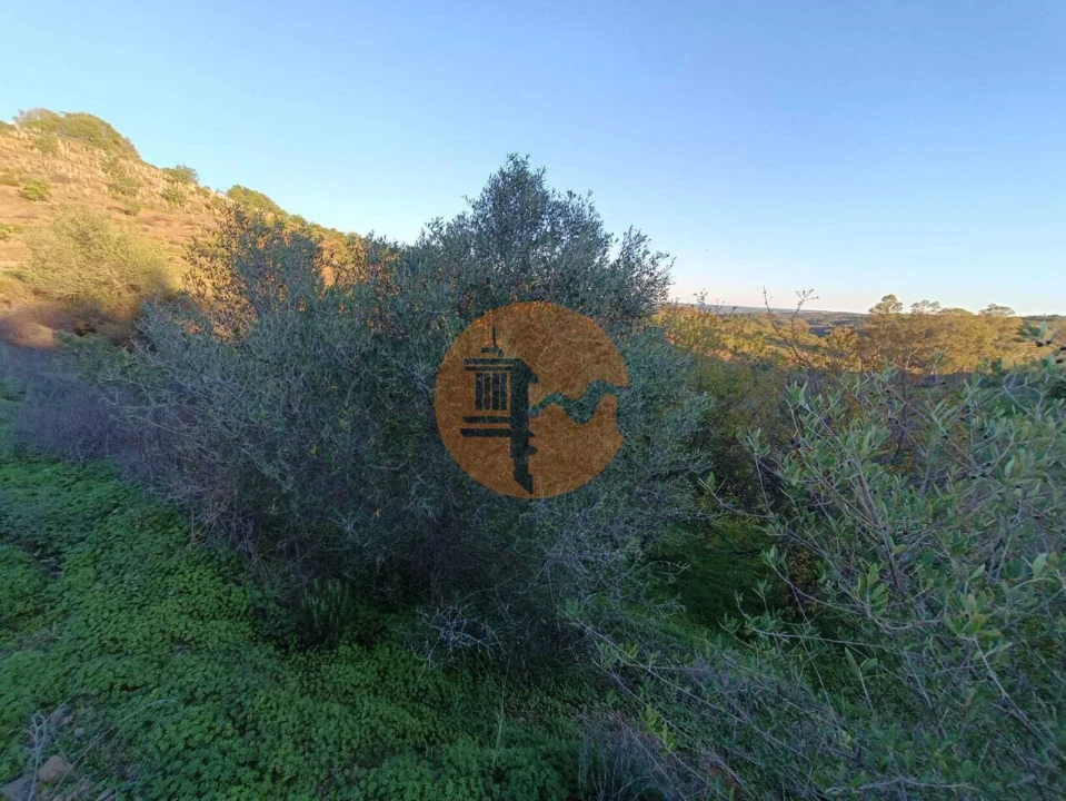 Terreno para Venda em Odeleite Foto 73