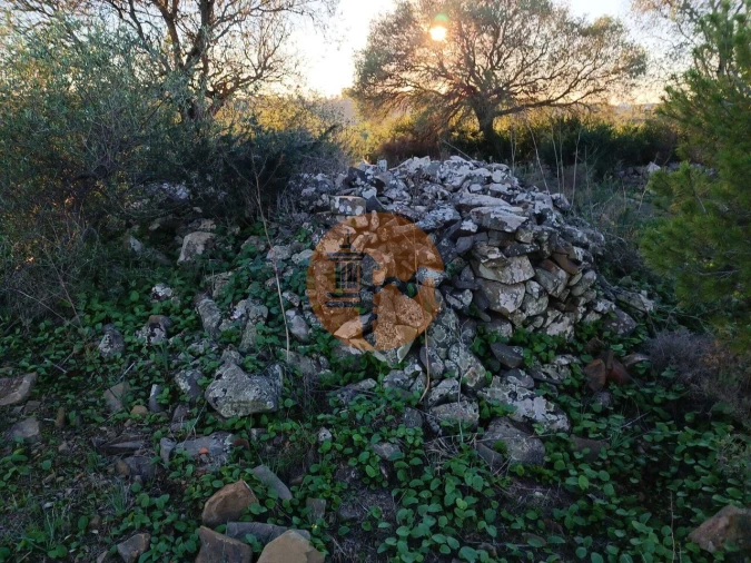Terreno para Venda em Odeleite Foto 3