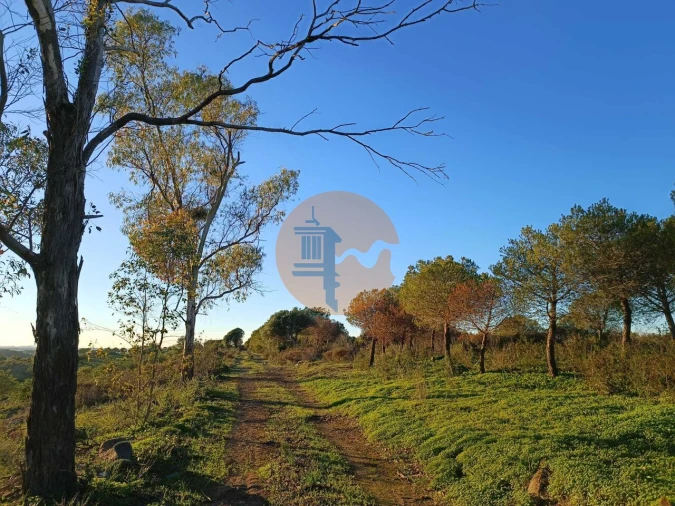 Terreno para Venda em Odeleite Foto 5