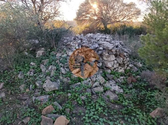 Terreno para Venda em Odeleite Foto 10