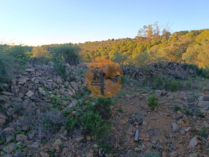 Terreno para Venda em Odeleite Foto 15