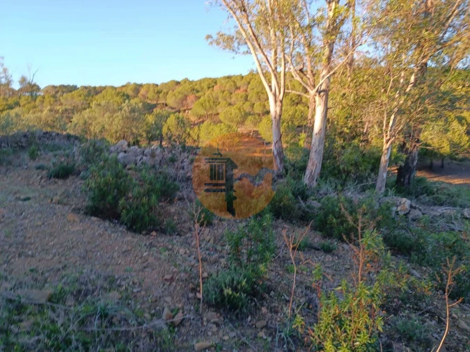 Terreno para Venda em Odeleite Foto 17
