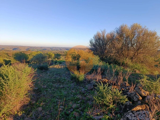 Terreno para Venda em Odeleite Foto 19