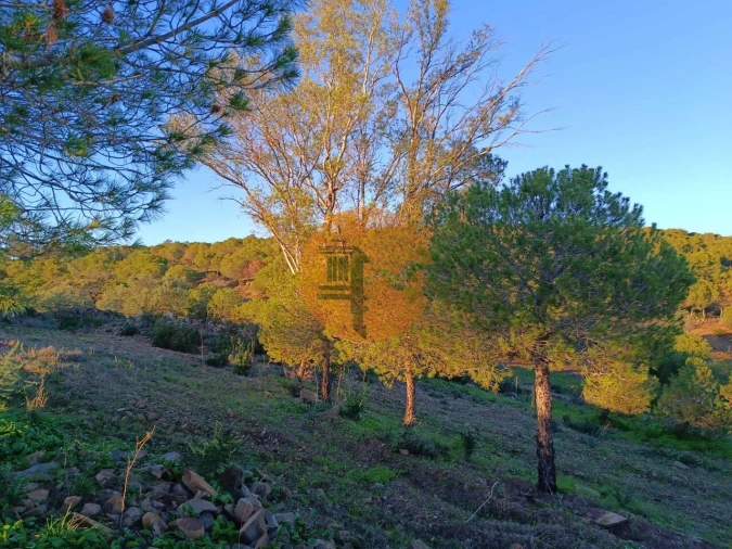 Terreno para Venda em Odeleite Foto 20