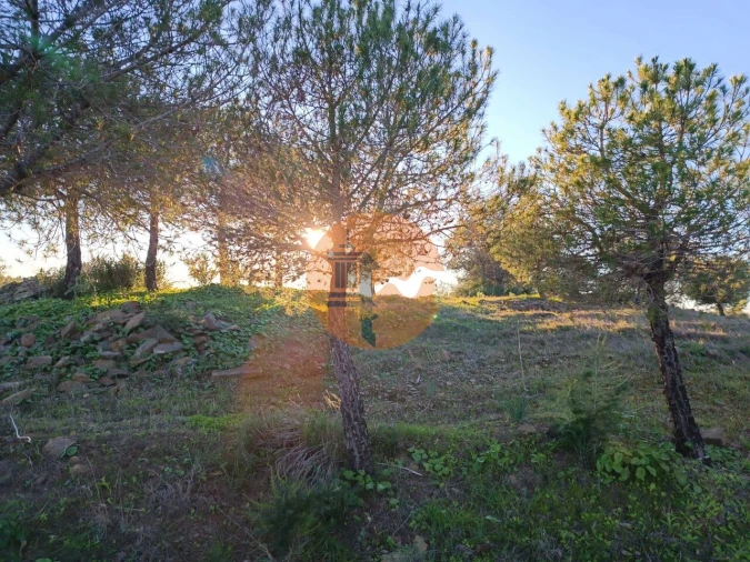 Terreno para Venda em Odeleite Foto 28