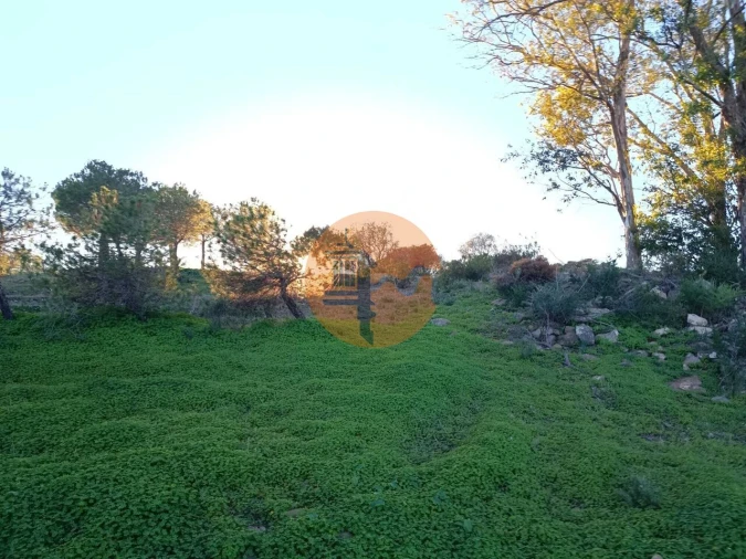 Terreno para Venda em Odeleite Foto 31