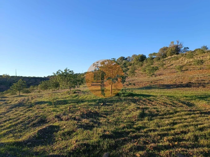Terreno para Venda em Odeleite Foto 35