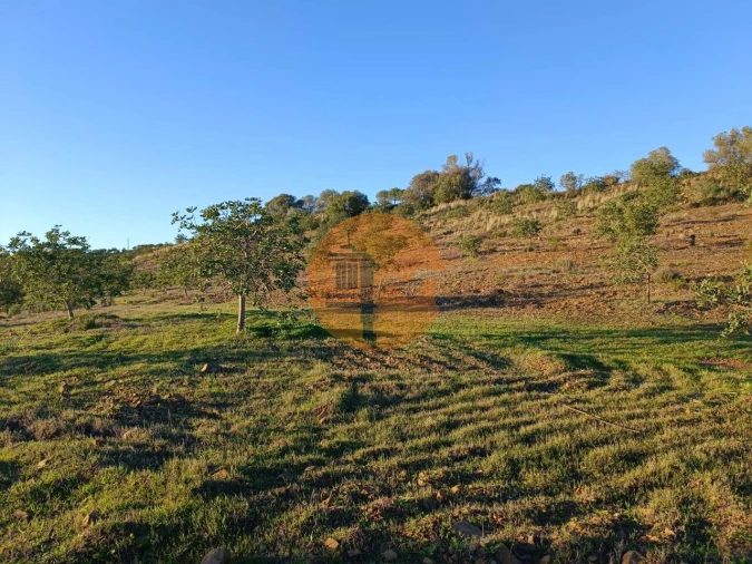 Terreno para Venda em Odeleite Foto 41