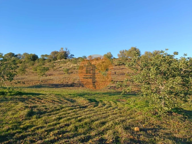 Terreno para Venda em Odeleite Foto 42