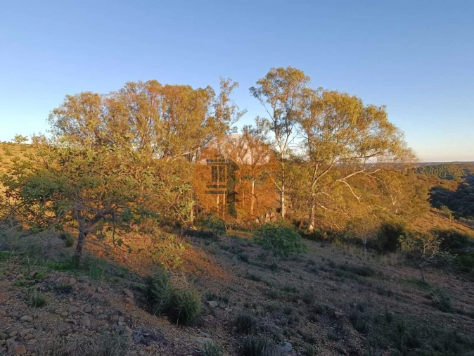 Terreno para Venda em Odeleite Foto 47