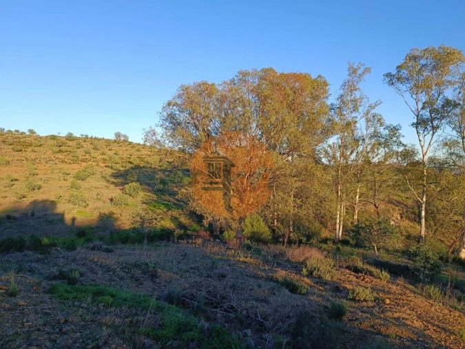Terreno para Venda em Odeleite Foto 49