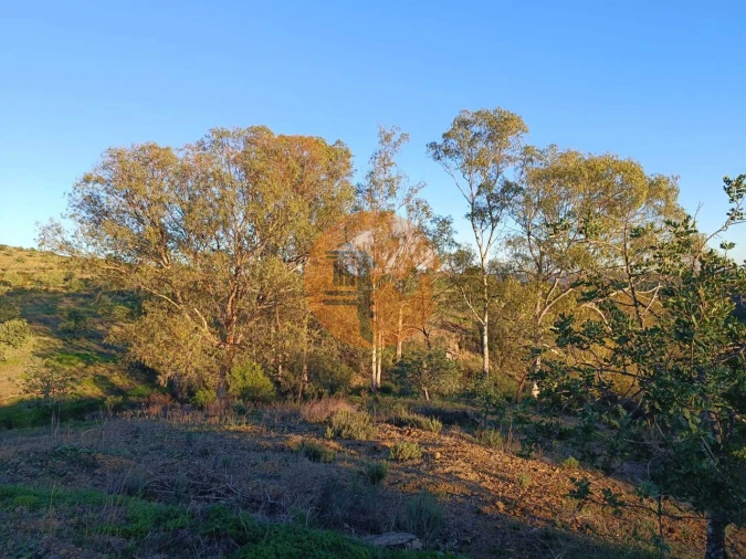 Terreno para Venda em Odeleite Foto 50