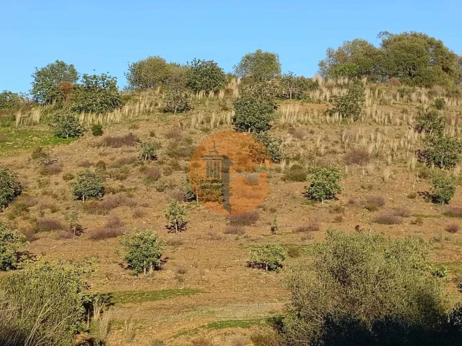 Terreno para Venda em Odeleite Foto 53