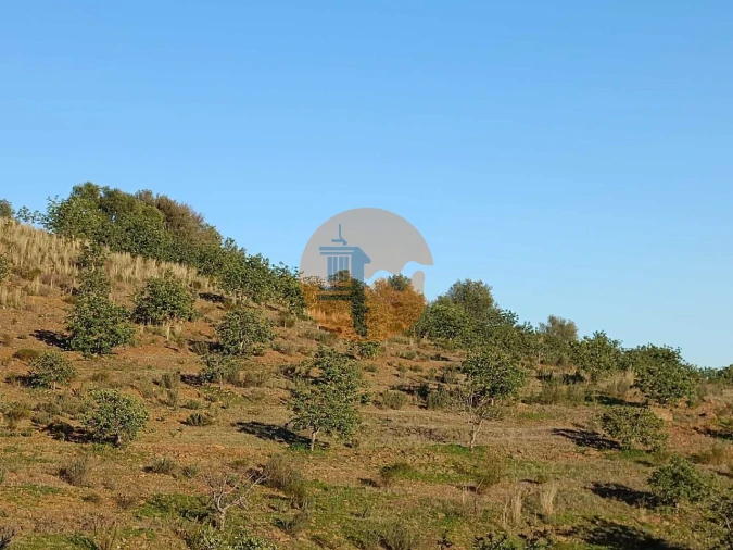 Terreno para Venda em Odeleite Foto 54