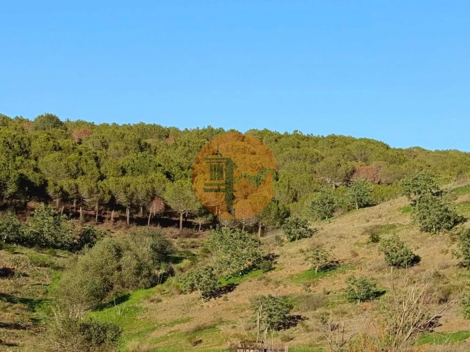 Terreno para Venda em Odeleite Foto 56