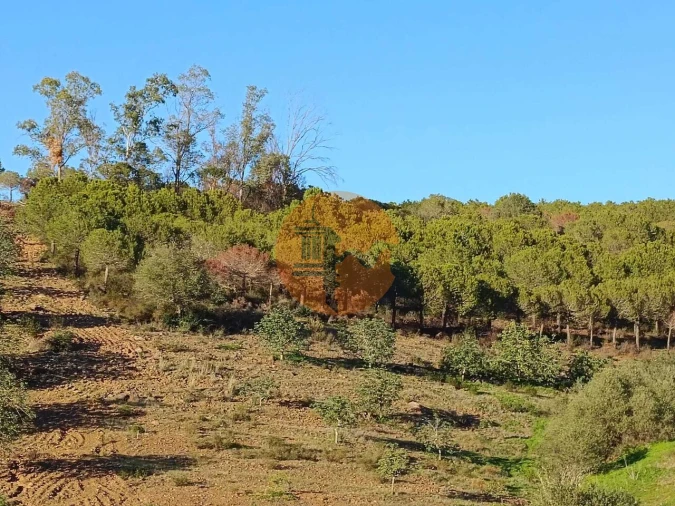 Terreno para Venda em Odeleite Foto 59