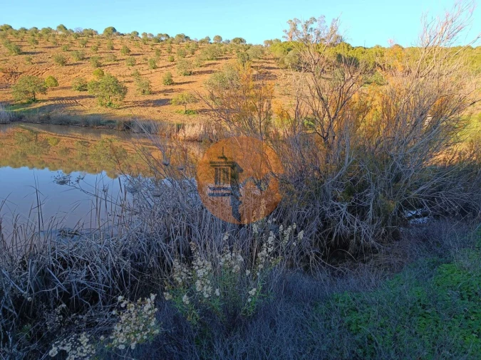 Terreno para Venda em Odeleite Foto 63