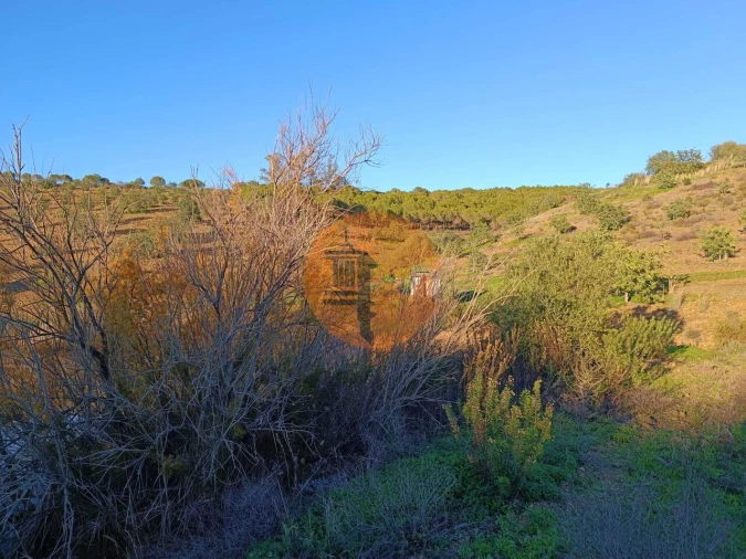 Terreno para Venda em Odeleite Foto 65