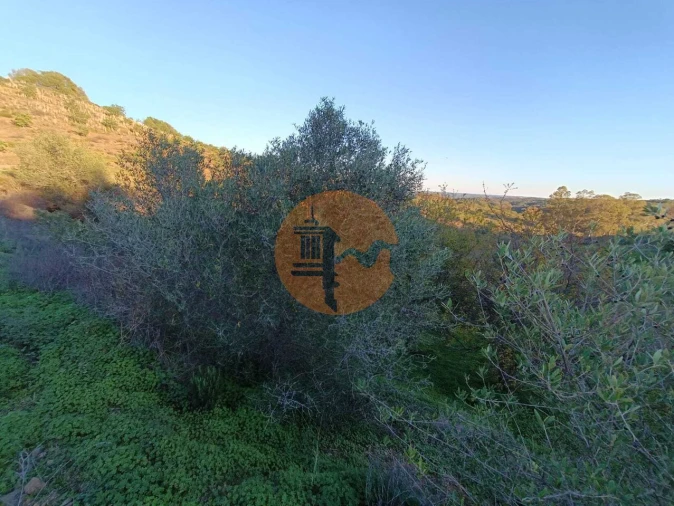 Terreno para Venda em Odeleite Foto 73