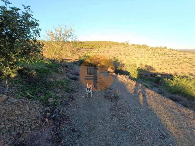 Terreno para Venda em Odeleite Foto 74