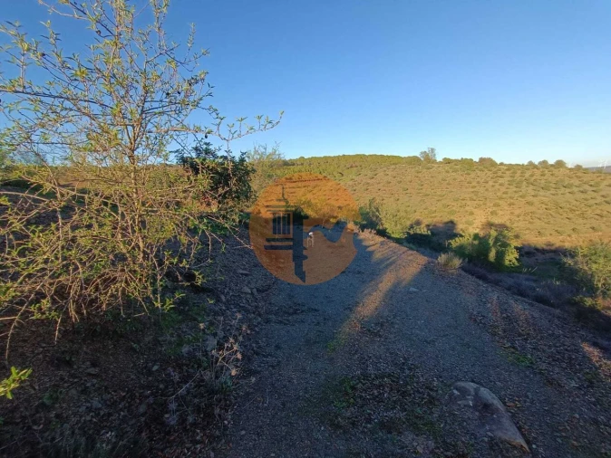 Terreno para Venda em Odeleite Foto 75