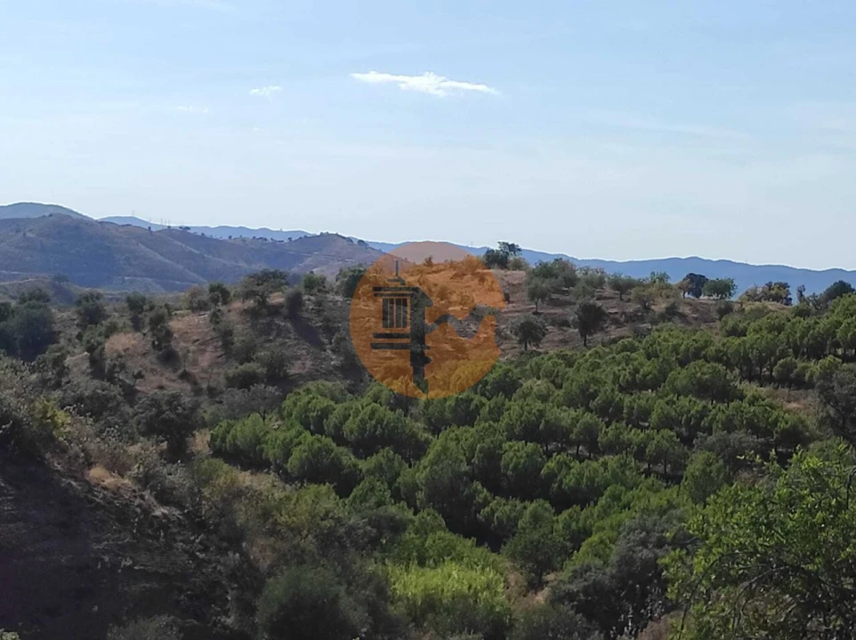 Terreno para Venda em Odeleite Foto 9