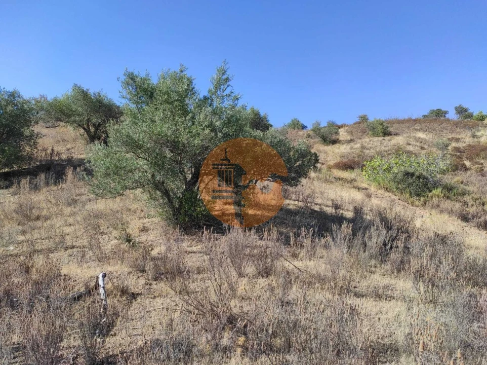 Terreno para Venda em Odeleite Foto 14