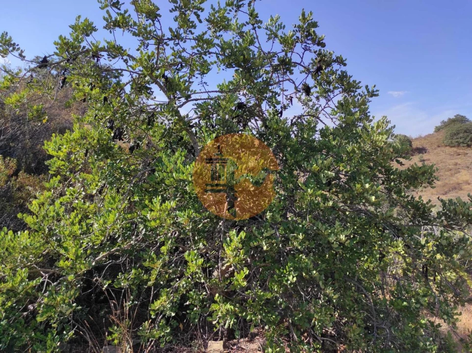 Terreno para Venda em Odeleite Foto 16