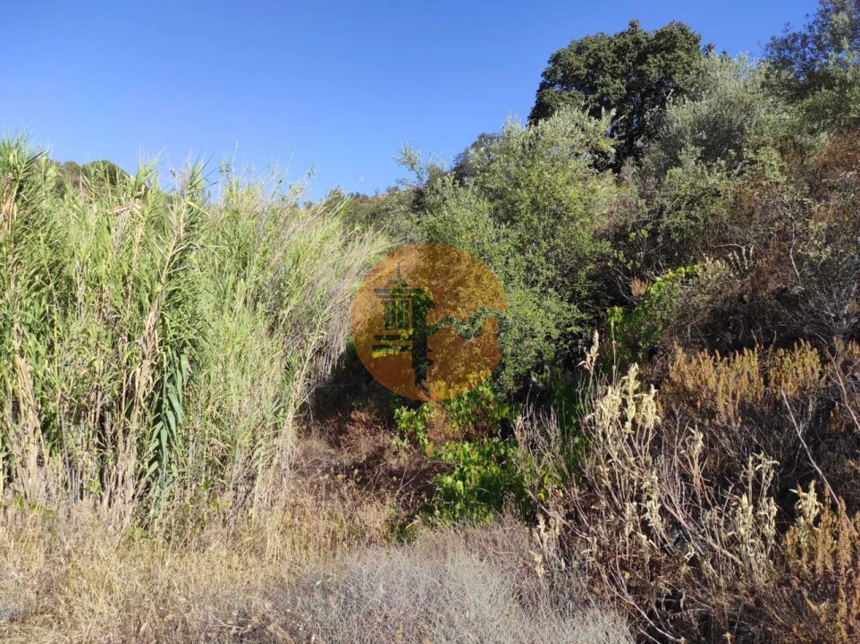 Terreno para Venda em Odeleite Foto 17