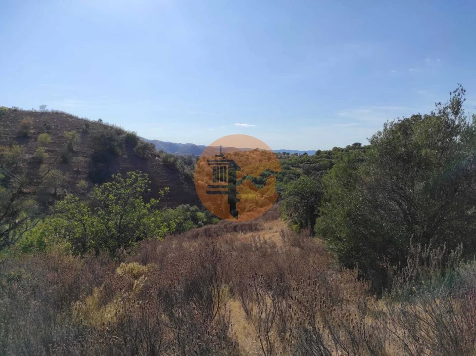 Terreno para Venda em Odeleite Foto 18