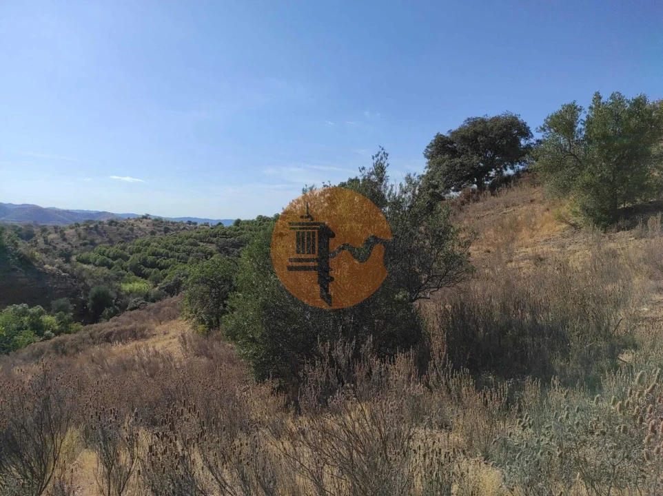 Terreno para Venda em Odeleite Foto 19