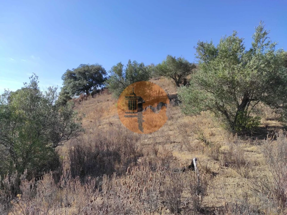 Terreno para Venda em Odeleite Foto 20