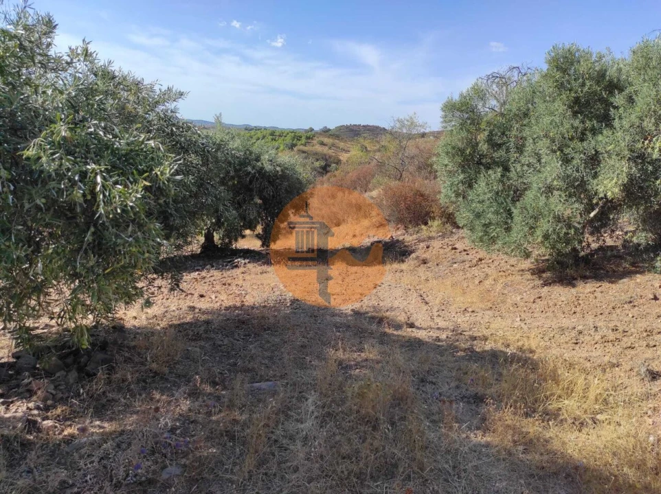 Terreno para Venda em Odeleite Foto 27