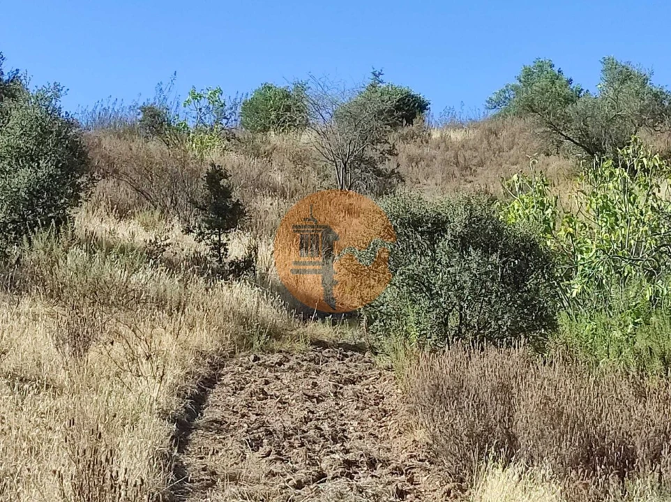 Terreno para Venda em Odeleite Foto 29