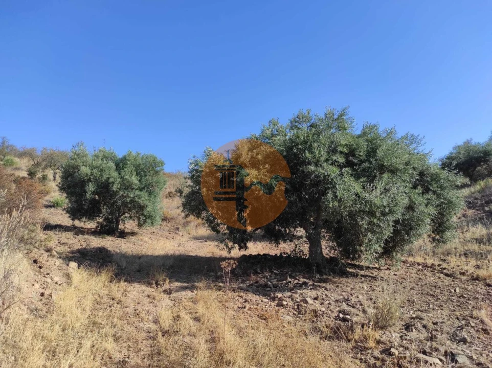 Terreno para Venda em Odeleite Foto 34