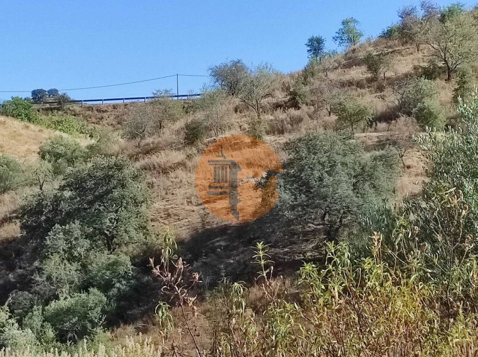 Terreno para Venda em Odeleite Foto 39