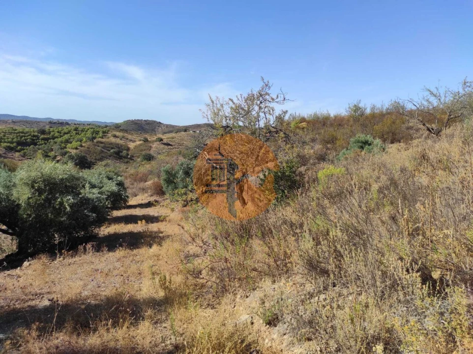 Terreno para Venda em Odeleite Foto 43