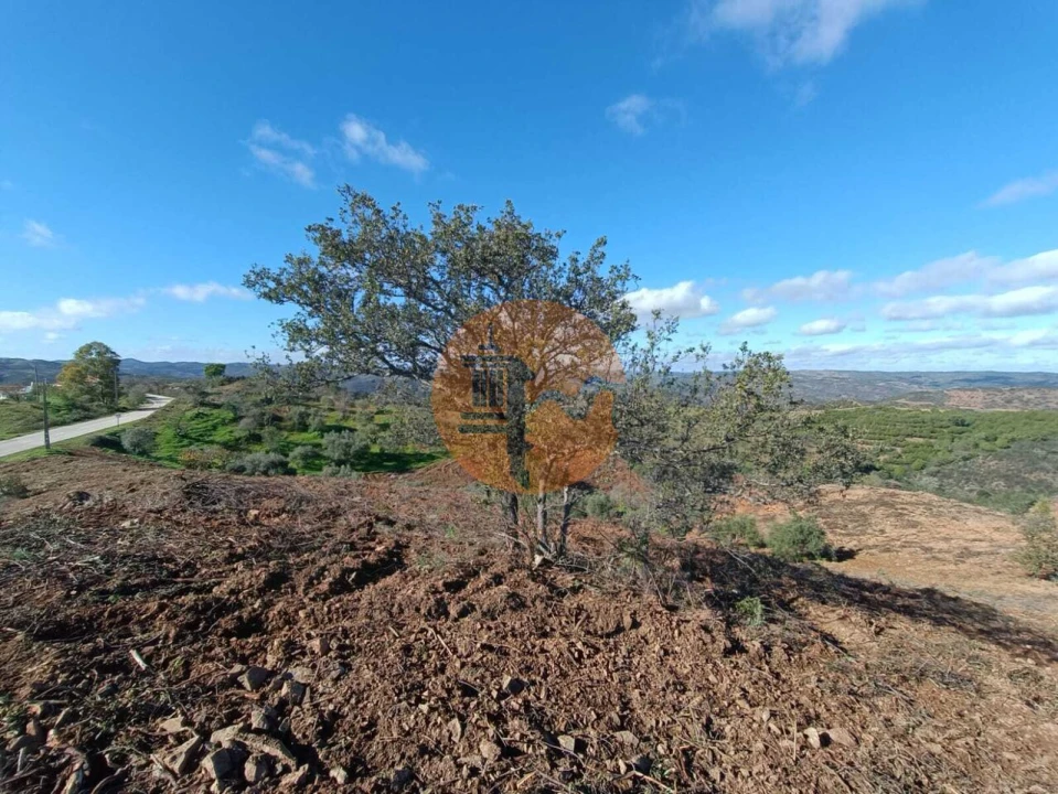 Terreno para Venda em Odeleite Foto 47