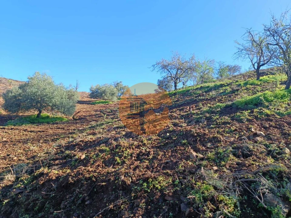 Terreno para Venda em Odeleite Foto 49