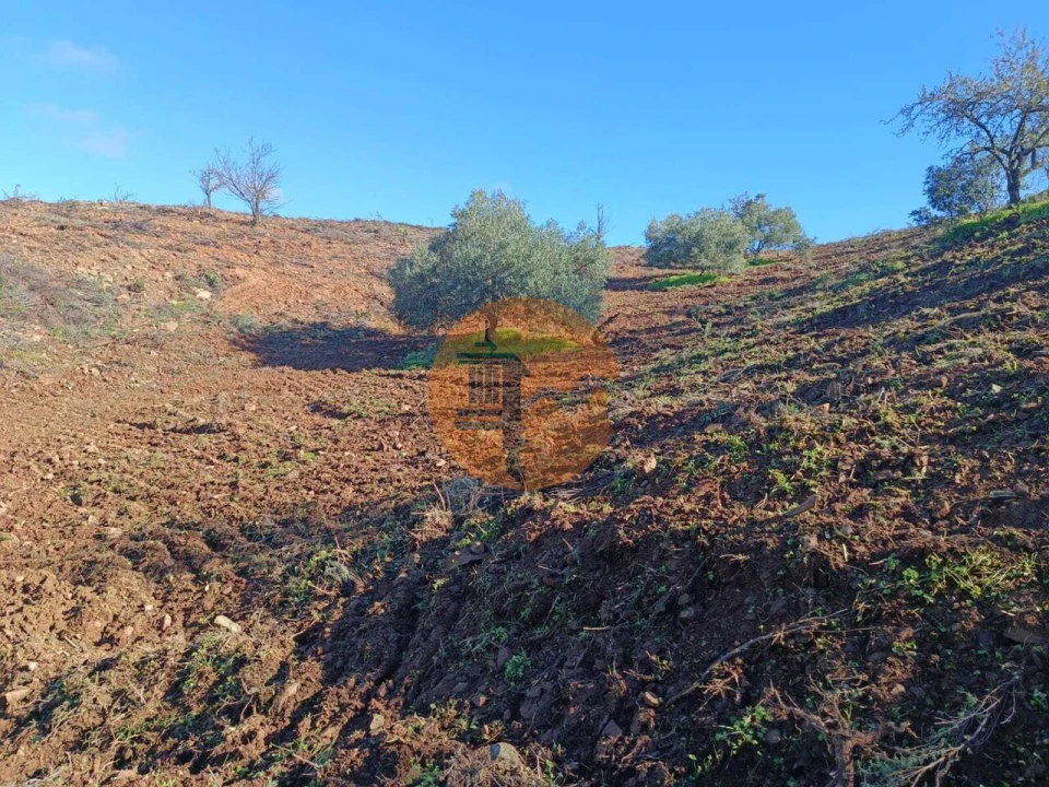 Terreno para Venda em Odeleite Foto 50