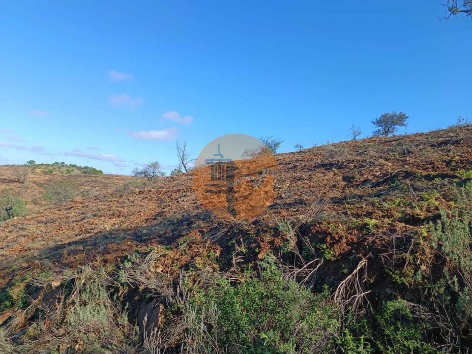 Terreno para Venda em Odeleite Foto 52