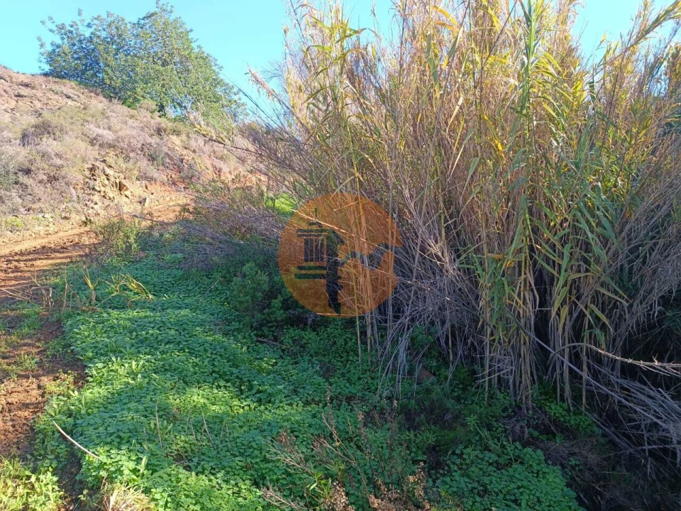 Terreno para Venda em Odeleite Foto 62