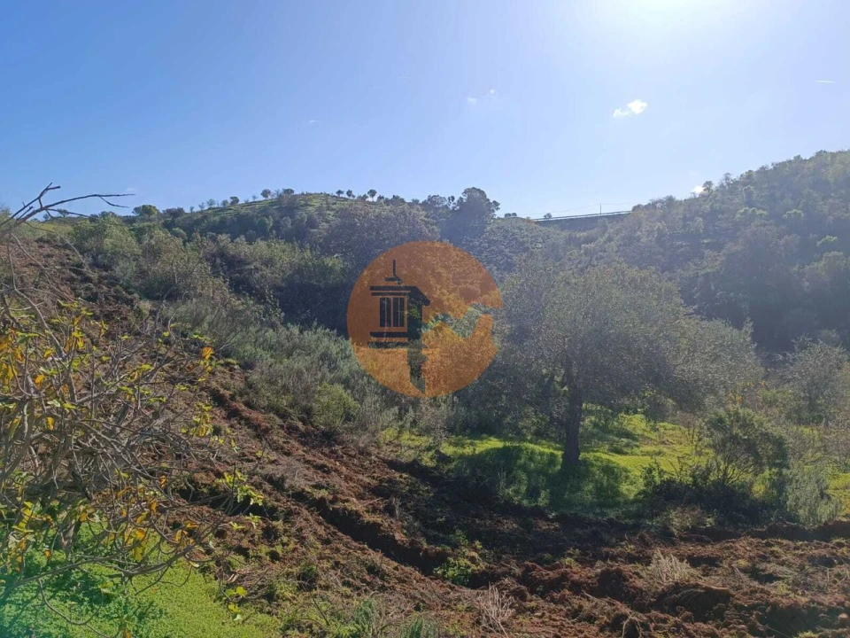 Terreno para Venda em Odeleite Foto 63