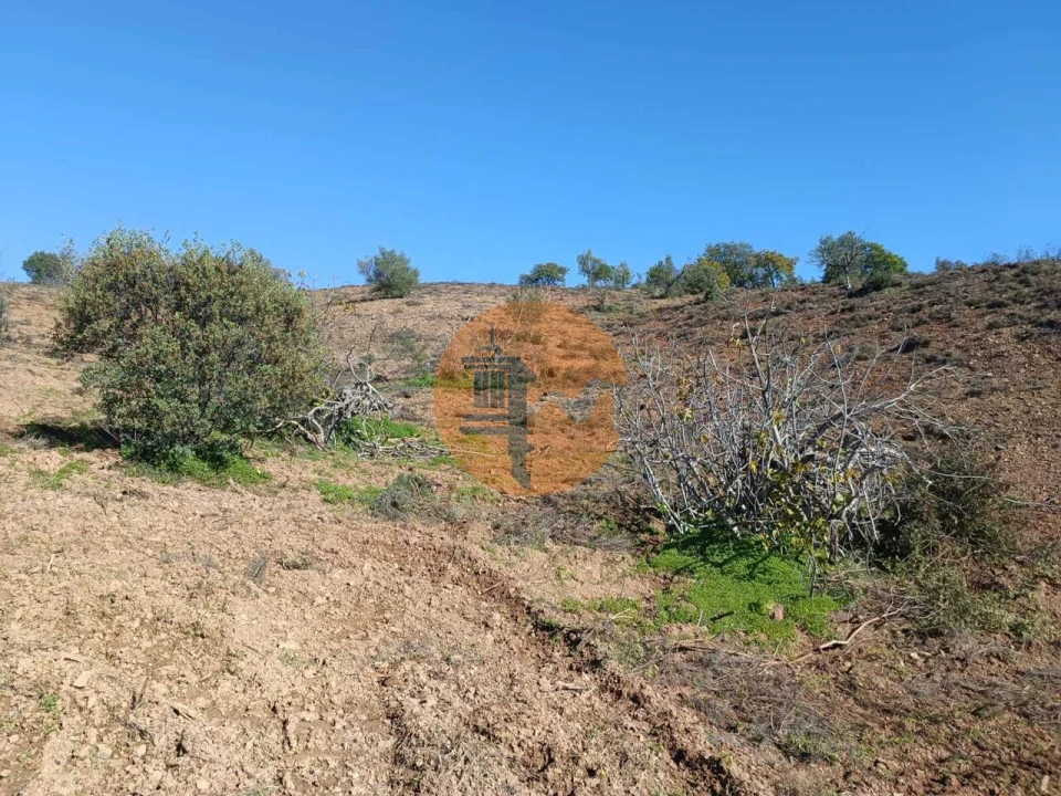 Terreno para Venda em Odeleite Foto 64